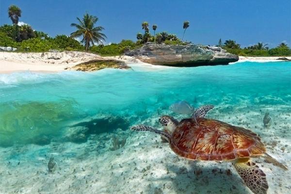 키웬그와 Kuwa Zanzibar 아파트 호텔 외부 사진